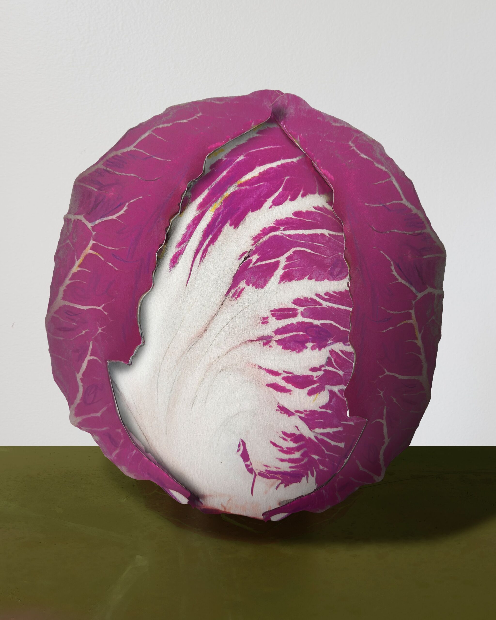 VO1026_FOB_Chicories_01